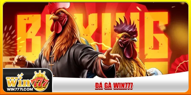 Đá gà WIN777